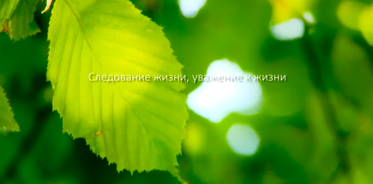 bevictor伟德集团形象片（русский）