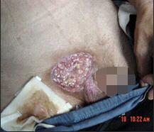 bevictor伟德官网-韦德官方网站