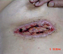 bevictor伟德官网-韦德官方网站