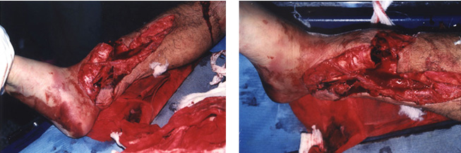 bevictor伟德官网-韦德官方网站