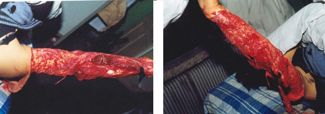 bevictor伟德官网-韦德官方网站