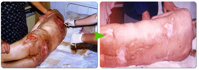 bevictor伟德官网-韦德官方网站