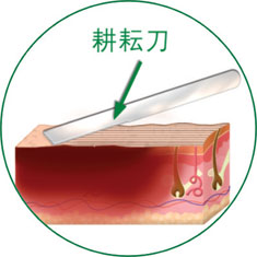 bevictor伟德官网-韦德官方网站