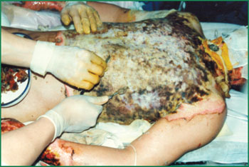 bevictor伟德官网-韦德官方网站