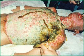 bevictor伟德官网-韦德官方网站