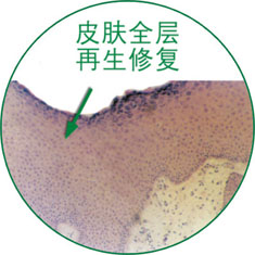bevictor伟德官网-韦德官方网站
