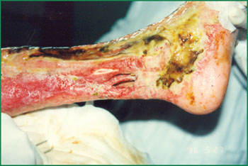 bevictor伟德官网-韦德官方网站