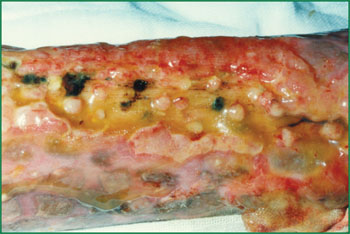 bevictor伟德官网-韦德官方网站