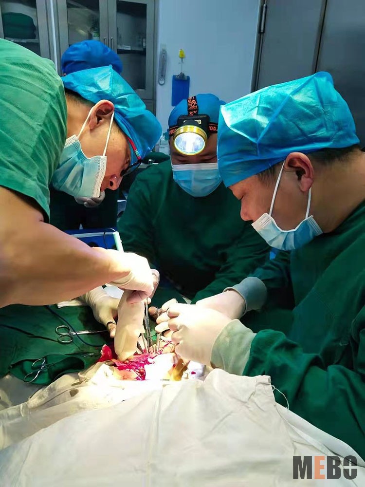 bevictor伟德官网-韦德官方网站