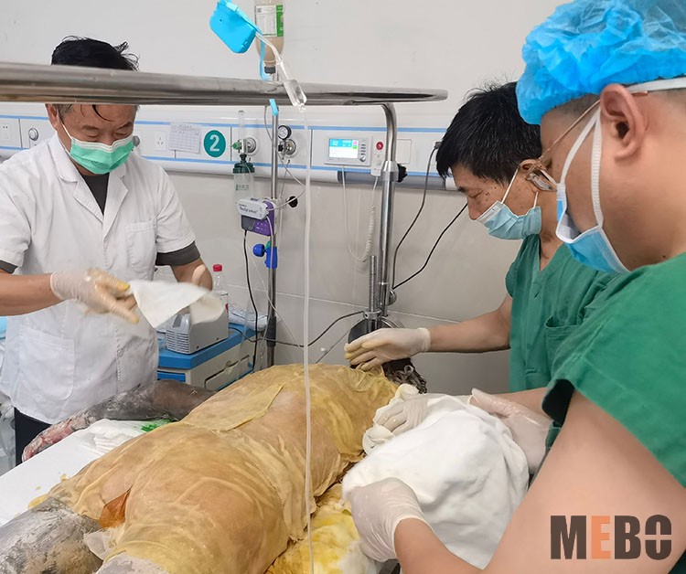 bevictor伟德官网-韦德官方网站