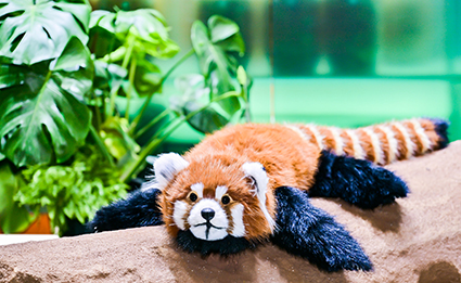 bevictor伟德官网-韦德官方网站