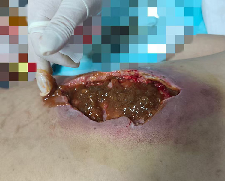 bevictor伟德官网-韦德官方网站