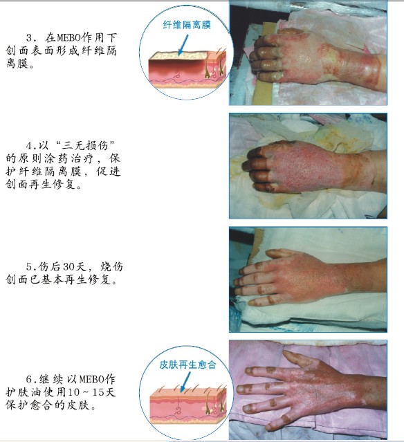 bevictor伟德官网-韦德官方网站