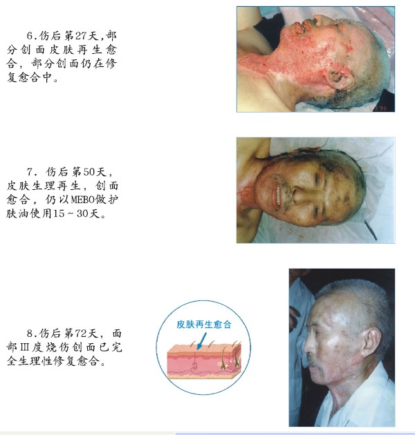 bevictor伟德官网-韦德官方网站