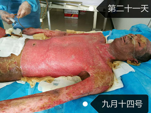 bevictor伟德官网-韦德官方网站